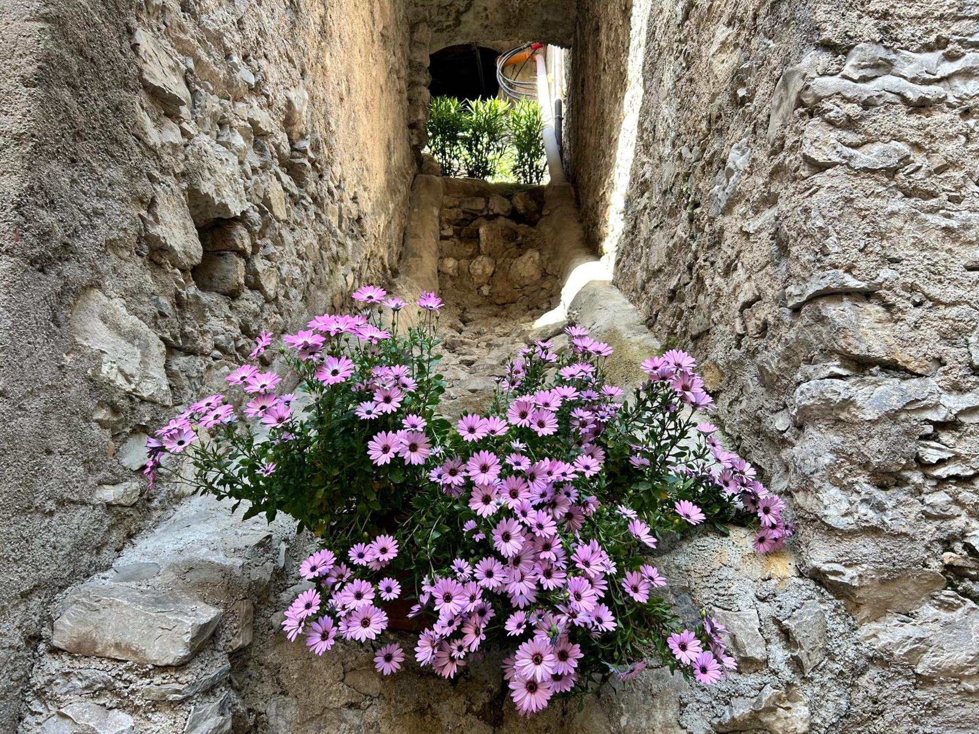 Studios Al Castello Dei Limoni Limone sul Garda Kültér fotó